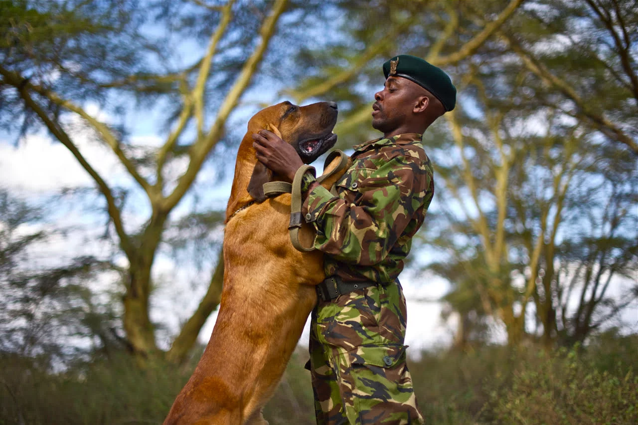 a person in green uniform holding a dog